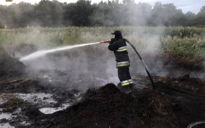 У Києві знову спостерігається задимлення повітря у зв’язку з пожежами в області, - КМДА (уточнено)