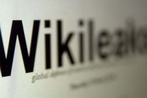 WikiLeaks подаст в суд на Visa и MasterCard