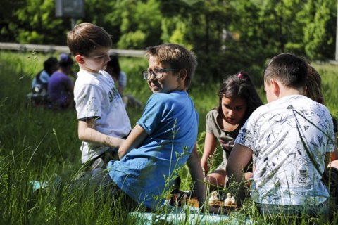 Киевляне устроили День Киева в Протасовом Яру, чтобы защитить его от застройки