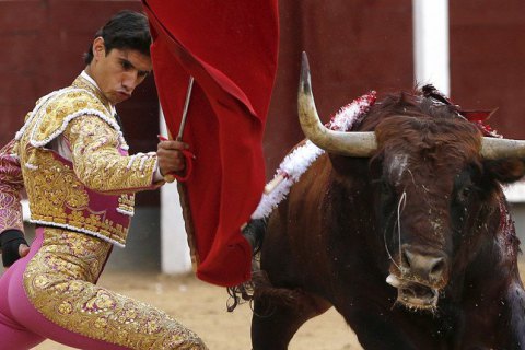 В Испании бык убил тореадора впервые за 30 лет