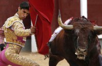 В Іспанії бик убив тореадора вперше за 30 років