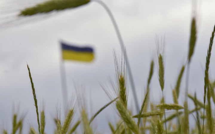 Українські аграрії зібрали перший мільйон тонн зерна нового врожаю
