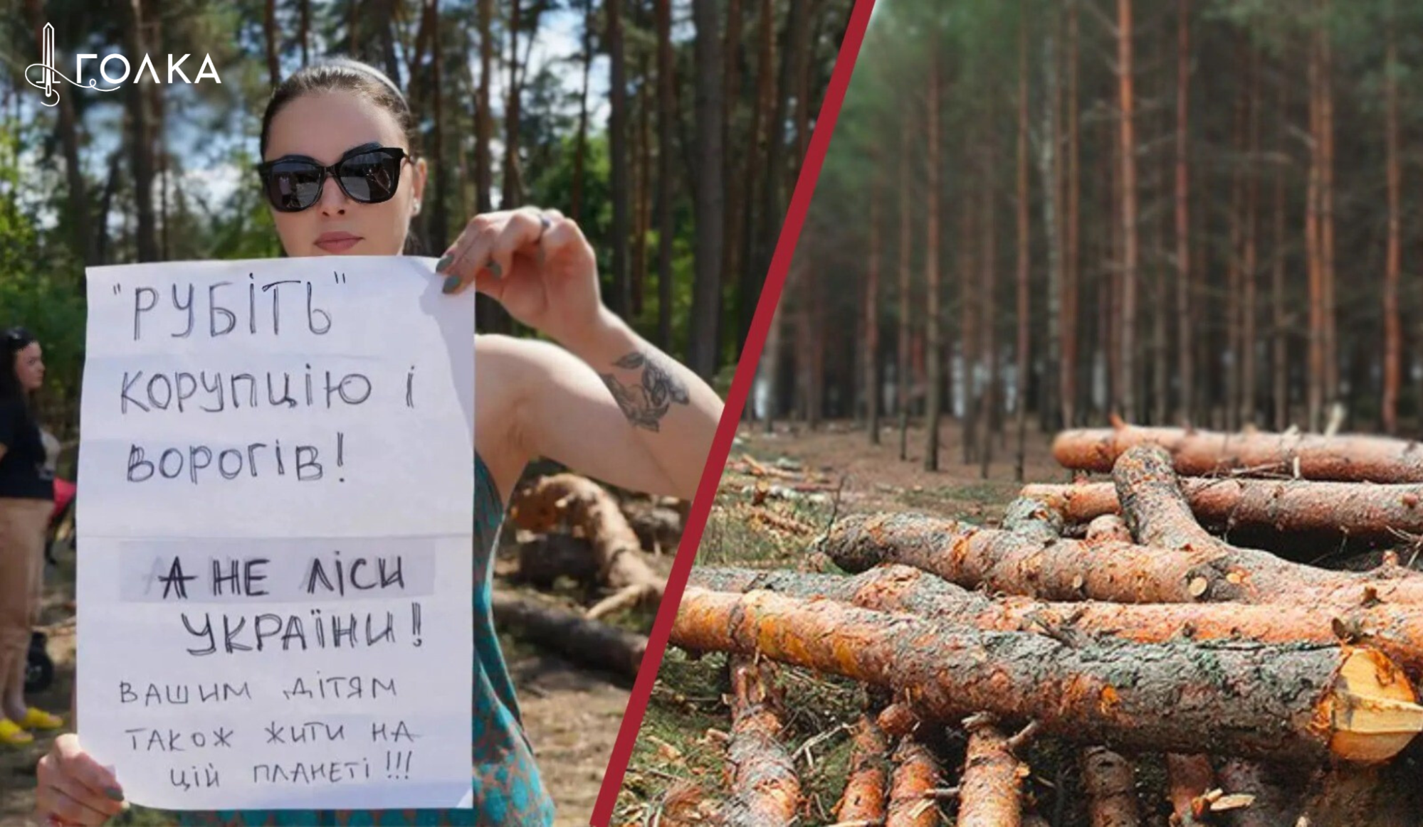 Ліс біля Основ’янського озера