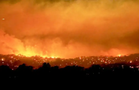 В Австралії через лісові пожежі зникли три людини 