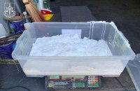 Правоохоронці України та Польщі ліквідували транснаціональну наркомережу