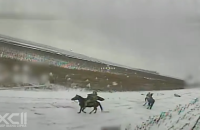 Росіяни знову намагалися штурмувати позиції ЗСУ на конях 