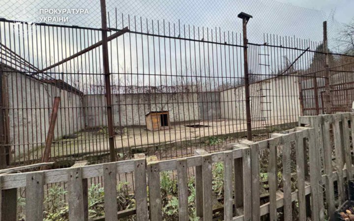 У Хмельницькому з приватного центру реабілітації диких тварин втекли дві левиці. Їх впіймали (оновлено)