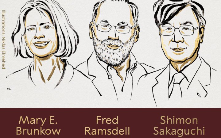 “Нобеля” з медицини отримали вчені зі США та Японії за відкриття у сфері імунітету