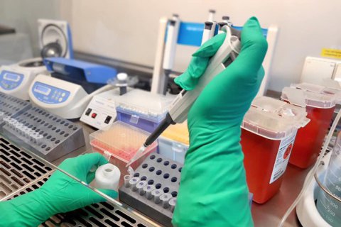 Івано-Франківську область перевірять на наявність "британського" штаму коронавірусу