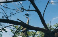 У аеропорті Вільнюса тимчасово зупиняли польоти через можливий дрон