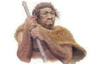 Гибриды неандертальцев и людей оказались большой редкостью