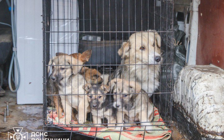 З села Новокриворіжжя на Донеччині евакуювали останню мешканку