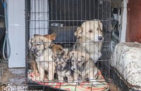 З села Новокриворіжжя на Донеччині евакуювали останню мешканку