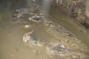 Запоріжжю загрожує екологічна катастрофа
