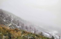 ДСНС попереджає про тумани та сильний сніг на вихідні