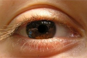 Ученые вырастили сетчатку человеческого глаза из стволовых клеток 