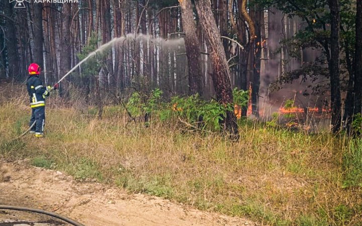 На Харківщині через російські обстріли палає понад 2300 га лісів