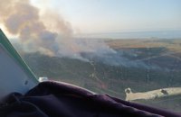 На Херсонщине спасатели второй день тушат пожар на территории лесничества