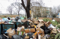 Киеврада предложит парламенту увеличить штафы за выброс мусора в неположенных местах