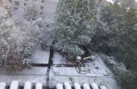 Москву засипало снігом