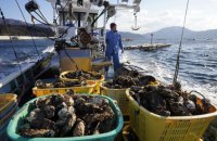 Китай скасував заборону на імпорт морепродуктів з більшості регіонів Японії