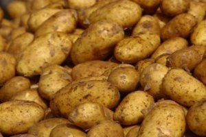 Россия вводит запрет на ввоз продовольственного картофеля из Украины 