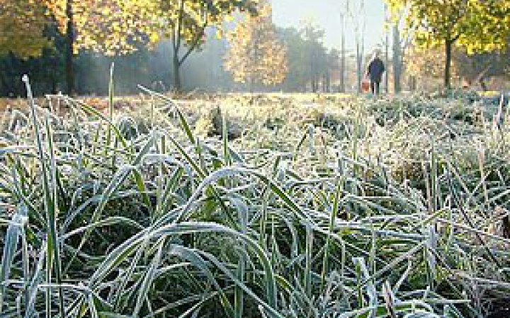 ДСНС попереджає про нічні заморозки в більшості областей України 