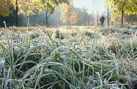 ДСНС попереджає про нічні заморозки в більшості областей України 