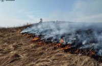 Пожежі сухостою: з початку року в Україні згоріло понад 93 тисячі гектарів землі