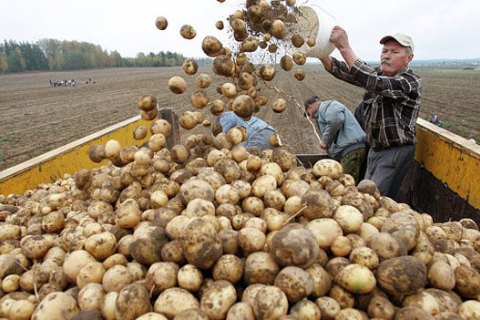 Украина вошла в тройку крупнейших экспортеров сельхозпродукции в ЕС