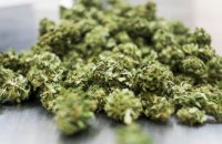 Іспанська поліція вилучила 32 тонни марихуани 