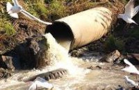 В Днепропетровской области женщина загрязнила нитратами подземные воды