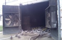 Пять тысяч кур погибли из-за пожара на ферме возле Токмака