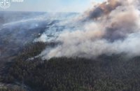 Мешканця Харківщини підозрюють у причетності до пожежі, у якій згоріло майже 350 га лісу