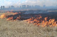 Пожежа знищила понад 100 га пшениці в Харківській області