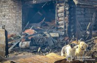 На Сумщині Росія поранила 75-річного чоловіка та 86-річну жінку