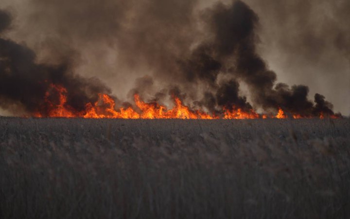 На Одещині горить один із національних природних парків