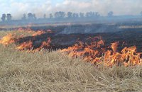 Под лесом в Киеве горит сухая трава и камыш