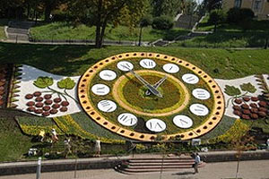 ​На цветочные часы на Майдане ушло 185 тысяч цветов