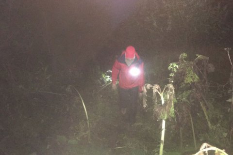 На Закарпатье нашли мертвым мужчину, который пошел за грибами