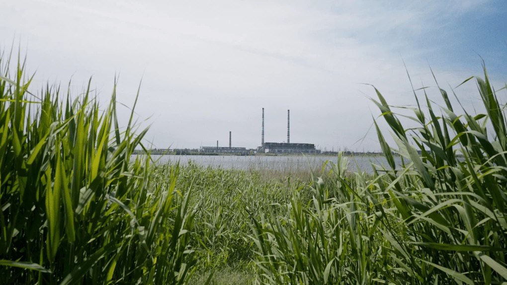 Кадр з фільму «Останній Прометей Донбасу».