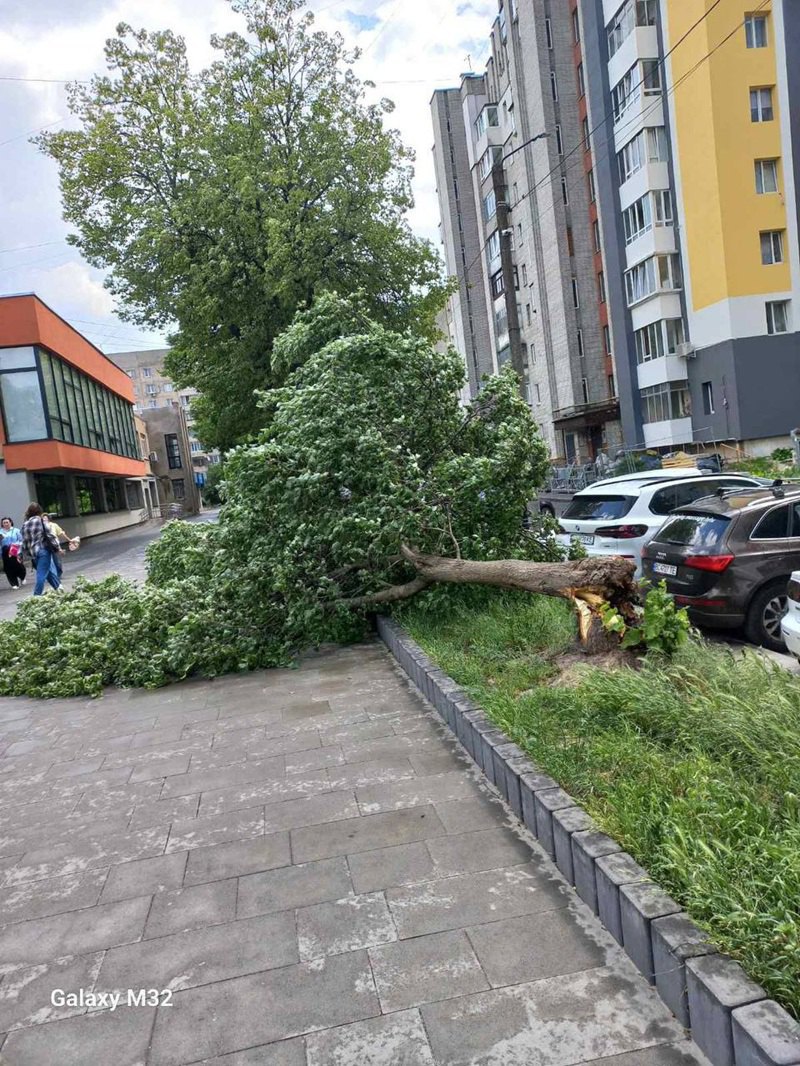 Львів, негода