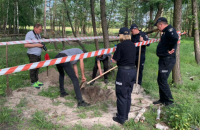 У селі на Київщині знайшли тіло розстріляного в потилицю цивільного 