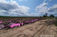 Полиция открыла уголовное производство по поводу розовых луж возле Ровно