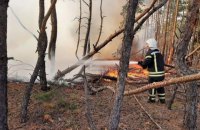 Пожары в Луганской области: Кабмин отменил тендер на закупку обещанных пожарных машин