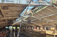 На Харківщині унаслідок дронової атаки загинули понад 20 корів, ще 30 тварин – поранені