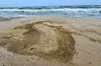 В Одеській затоці через розлив олії після російських атак загинули більше 1000 птахів