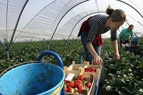 Трудовая миграция как новая угроза для украинской экономики