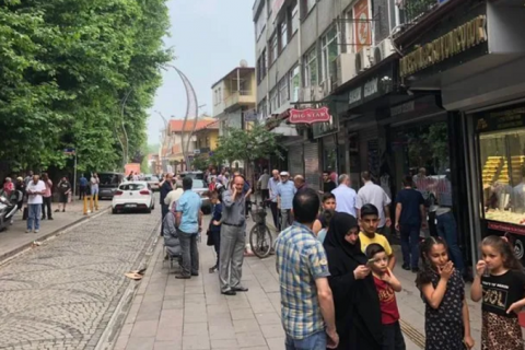У Туреччині стався землетрус магнітудою 4,6