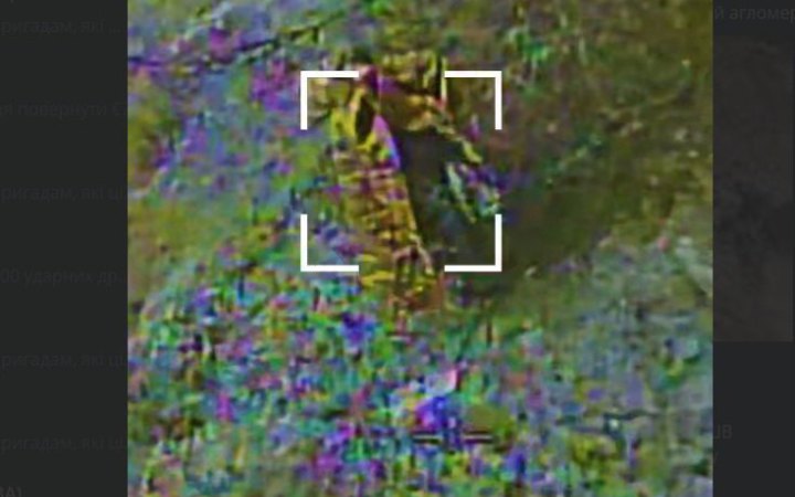 Сили оборони зачистили від росіян ділянку на Покровському напрямку